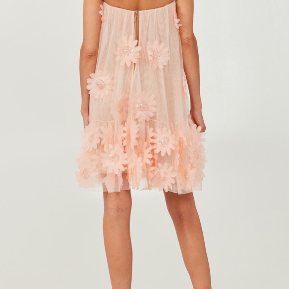 Helsi Bianca strapless floral applique mini dress Blush - Picture 2 of 10